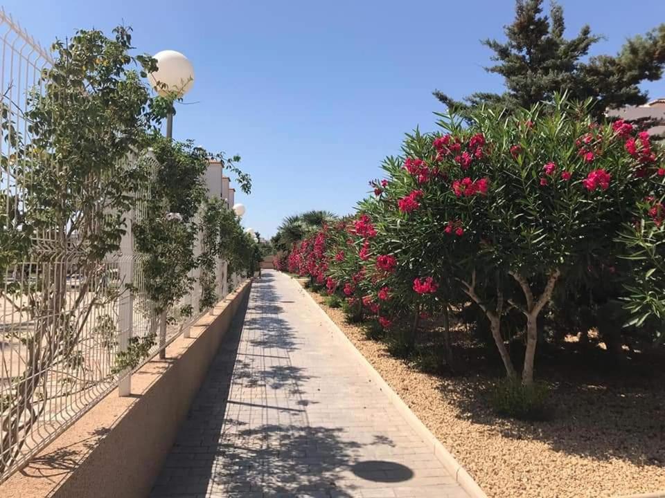 奥里韦拉Casa Punta Prima公寓 外观 照片